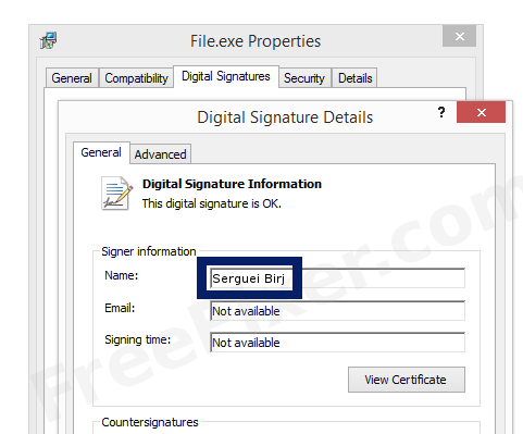 Screenshot of the Serguei Birj certificate